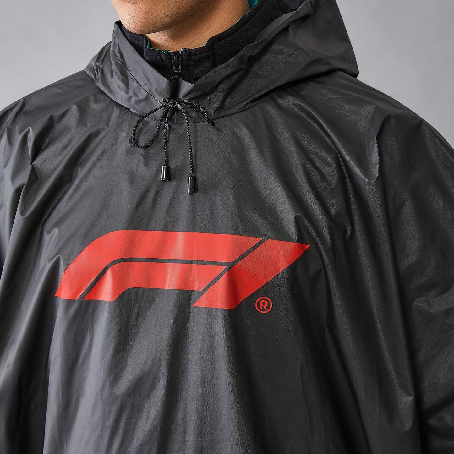 Logo Poncho